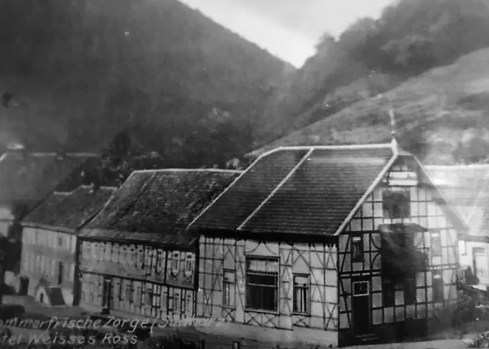 Ferienhaus Altes Haus Am Kurpark In Den Bergen *